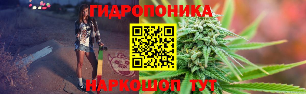 Марихуана MAZAR  Марихуана THC 21%  Мурино  Конопля LSD WEED  Каннабис сатива  Вход с VPN 
